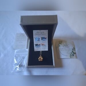 Paw Print Pet Cremation Necklace  Gold